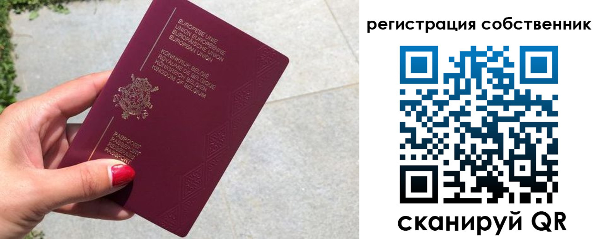 временная регистрация поиск в Сафоново